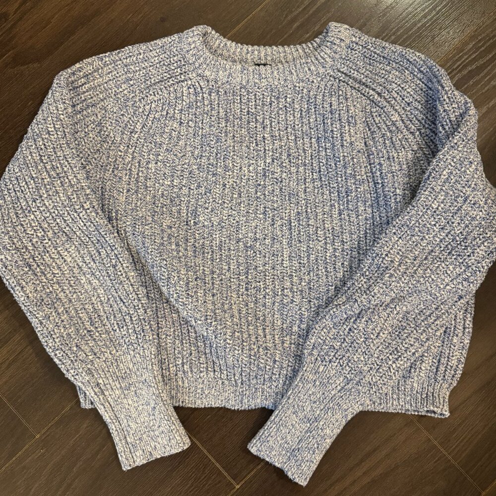 American Apparel Cotton-Blend Cropped Crew Sweater (Tagged L, fits S)